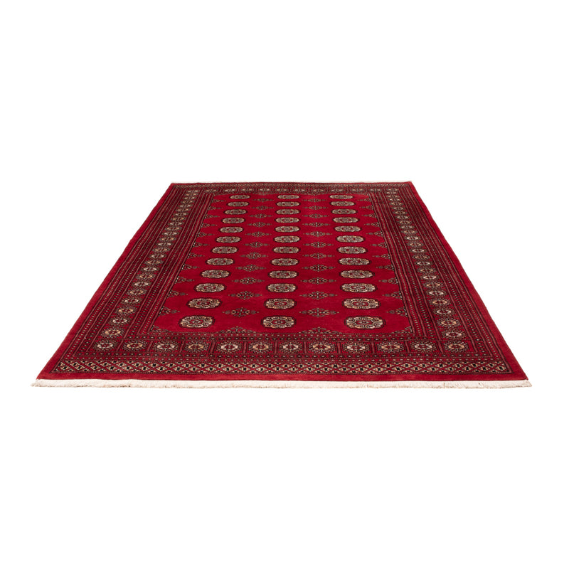 Pakistan teppe 167x249cm - Orientalsk teppe