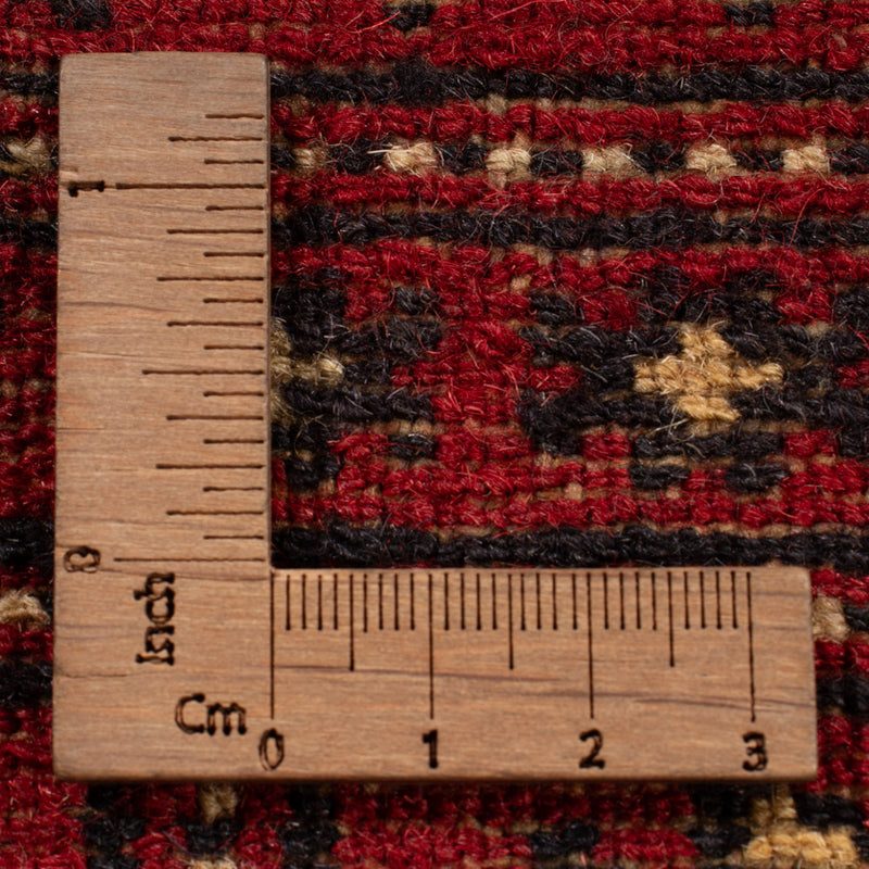 Pakistan teppe 167x249cm - Orientalsk teppe