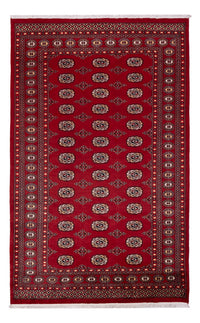 Pakistan teppe 266x167cm - Orientalsk teppe – product image