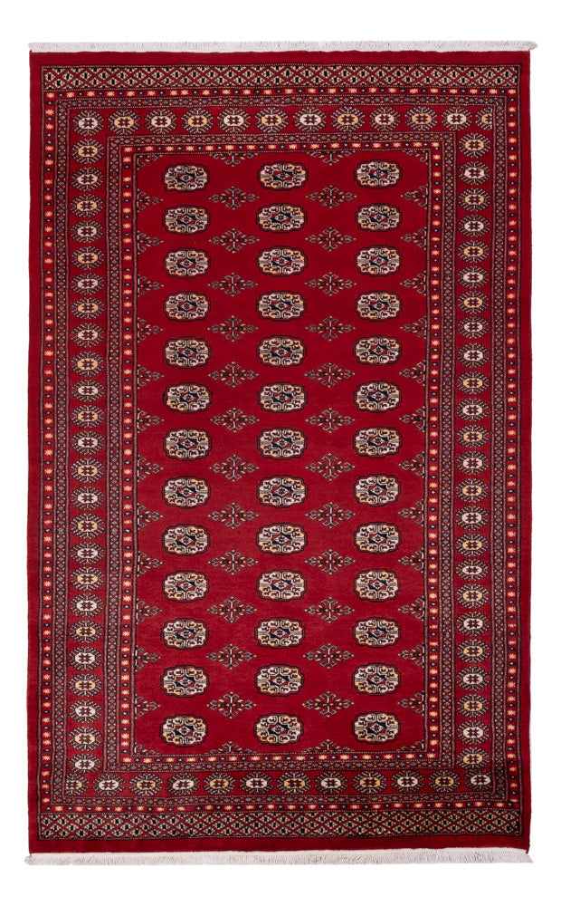 Pakistan teppe 266x167cm - Orientalsk teppe