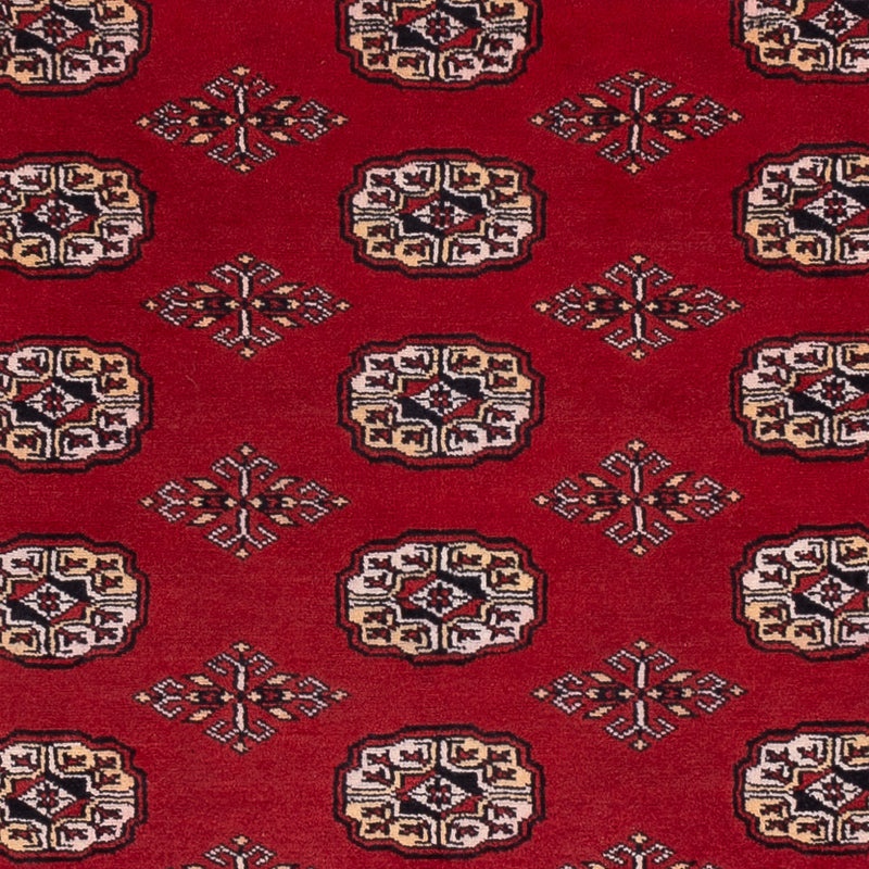 Pakistan teppe 266x167cm - Orientalsk teppe