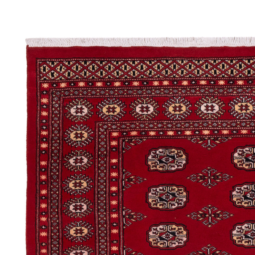Pakistan teppe 266x167cm - Orientalsk teppe
