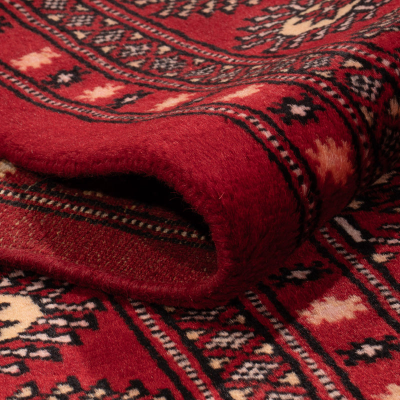 Pakistan teppe 266x167cm - Orientalsk teppe