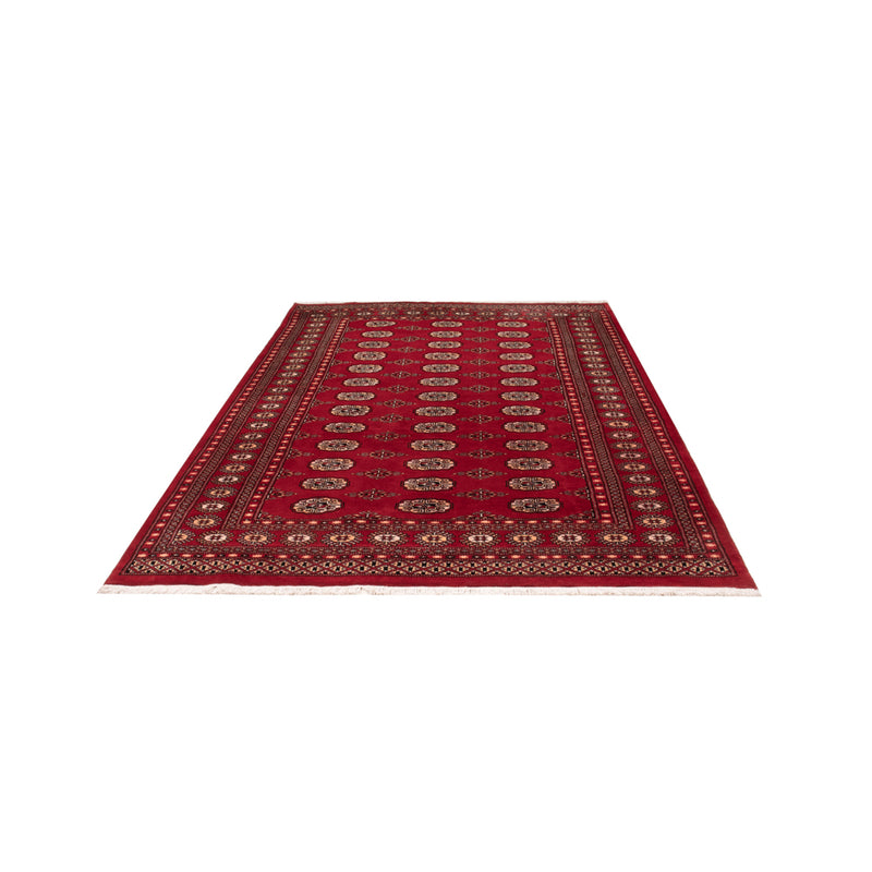 Pakistan teppe 266x167cm - Orientalsk teppe