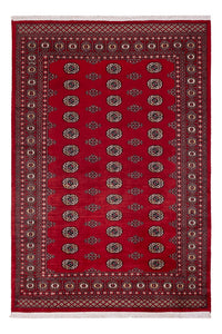 Pakistan teppe 239x164cm - Orientalsk teppe – product image