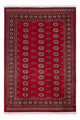 Pakistan teppe 239x164cm - Orientalsk teppe