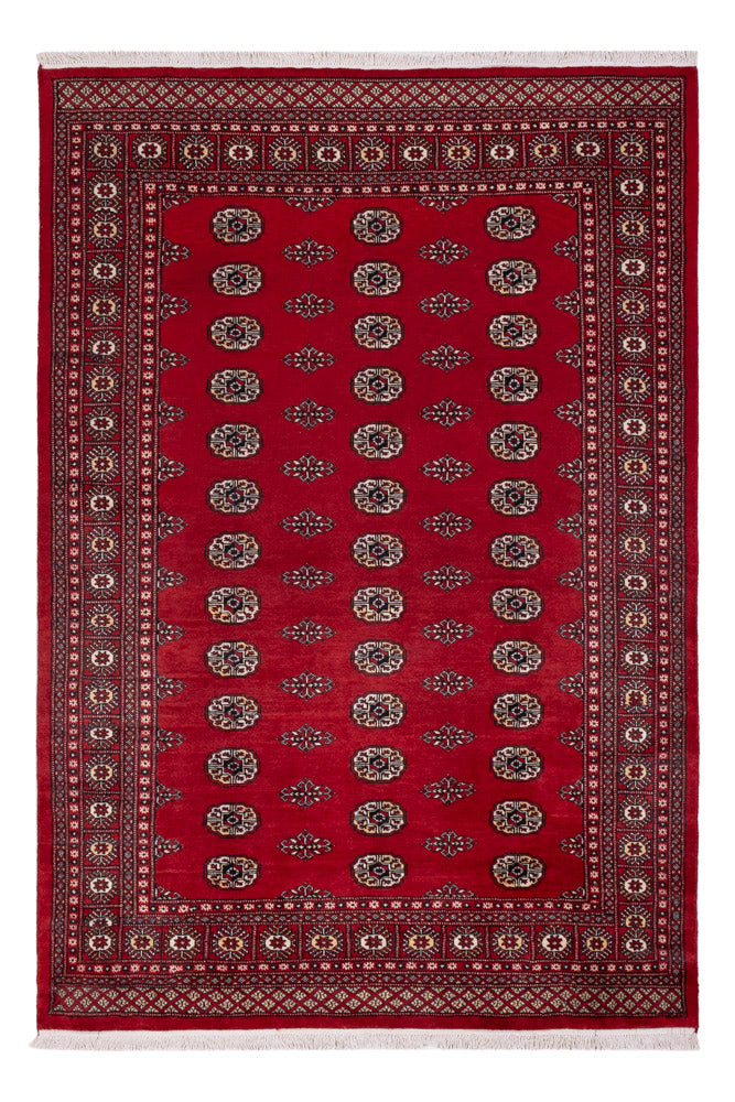 Pakistan teppe 239x164cm - Orientalsk teppe