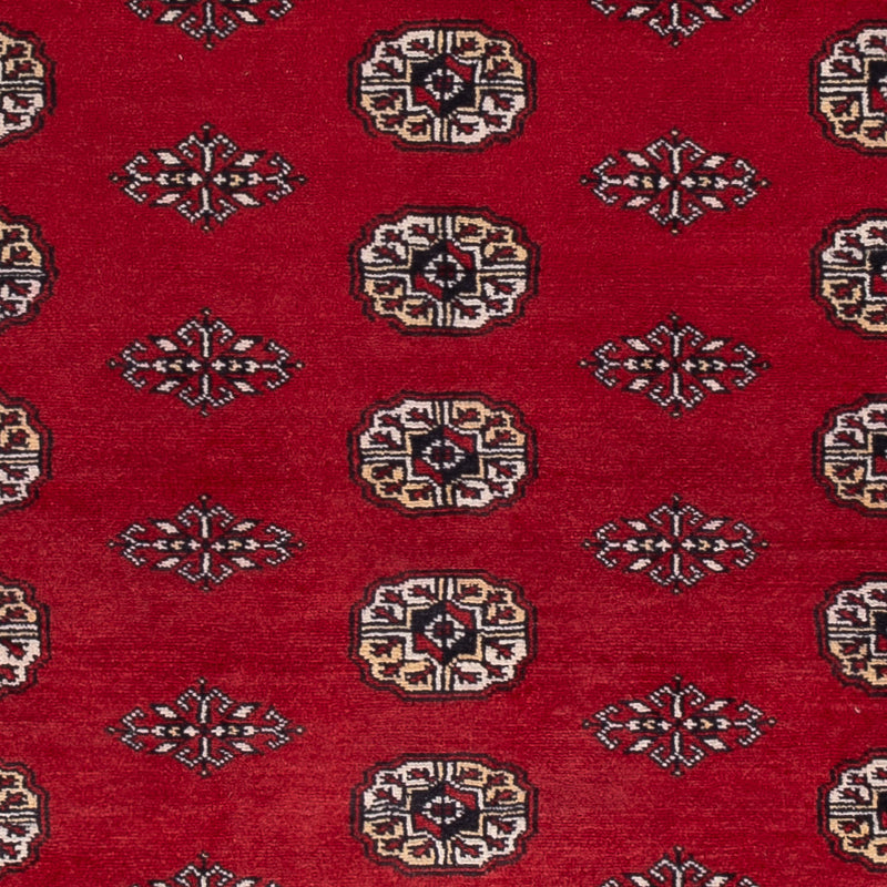 Pakistan teppe 239x164cm - Orientalsk teppe
