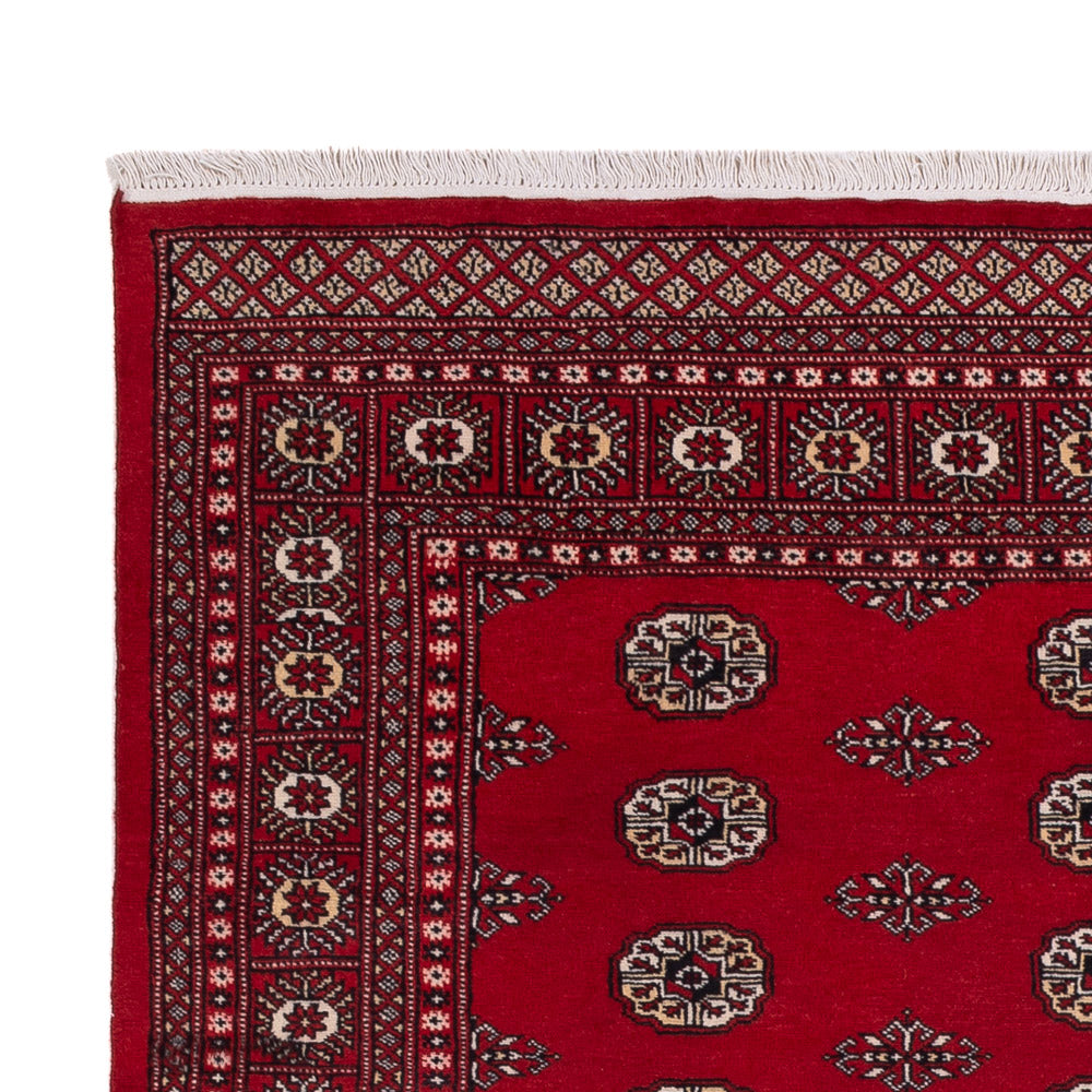 Pakistan teppe 239x164cm - Orientalsk teppe