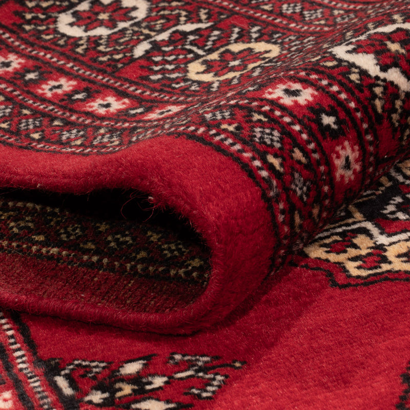 Pakistan teppe 239x164cm - Orientalsk teppe