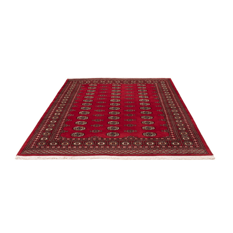 Pakistan teppe 239x164cm - Orientalsk teppe