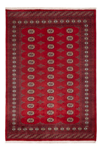 Pakistan teppe 235x165cm - Orientalsk teppe – product image
