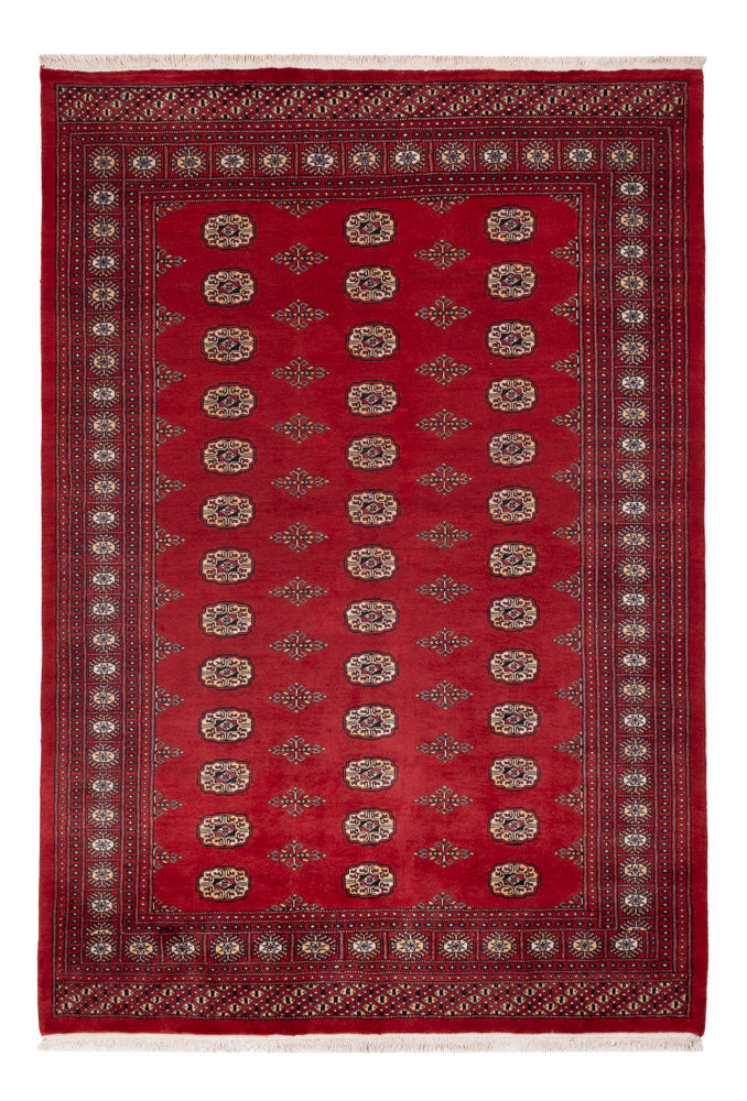 Pakistan teppe 235x165cm - Orientalsk teppe