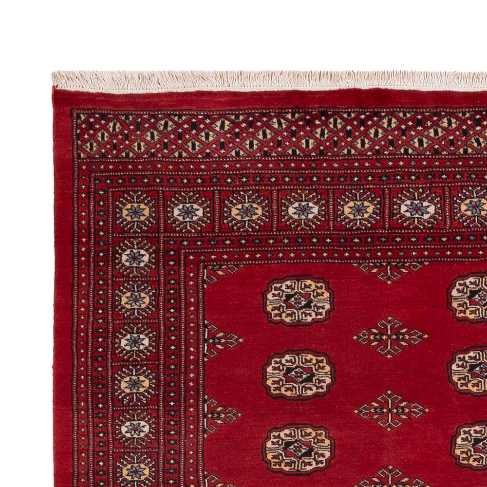 Pakistan teppe 235x165cm - Orientalsk teppe