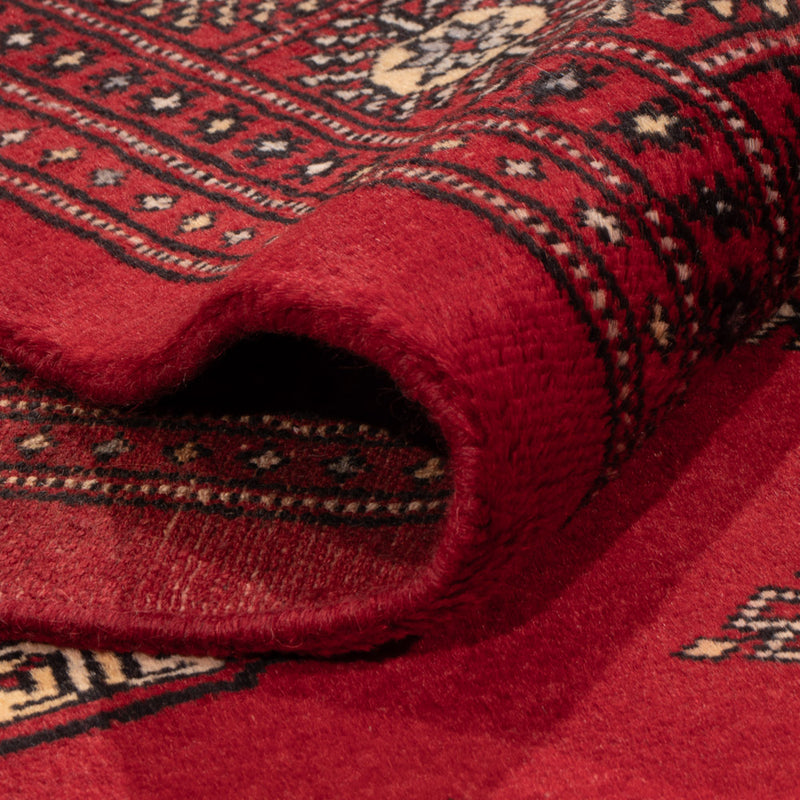 Pakistan teppe 235x165cm - Orientalsk teppe