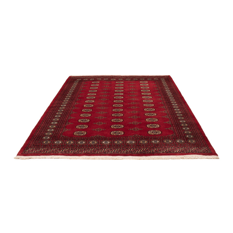 Pakistan teppe 235x165cm - Orientalsk teppe