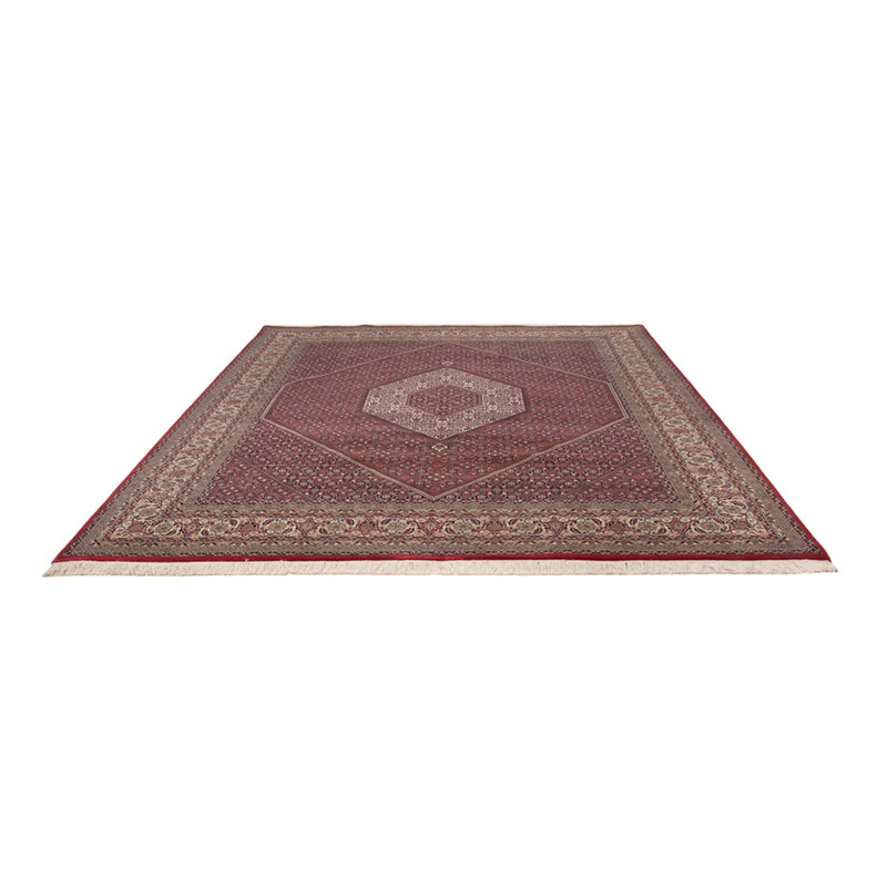 Indo Bidjar Teppe 300x247cm - Orientalsk teppe