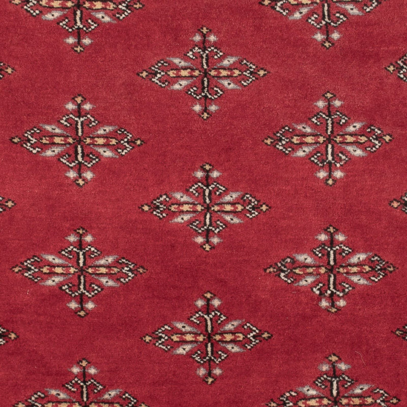 Pakistan teppe 150x95cm - Orientalsk teppe