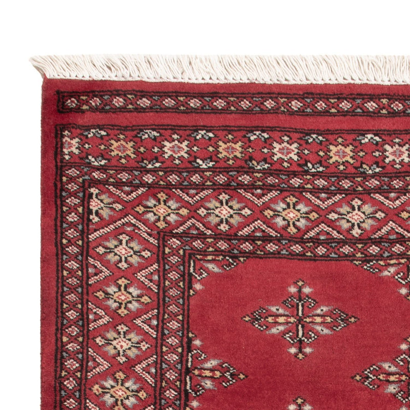 Pakistan teppe 150x95cm - Orientalsk teppe