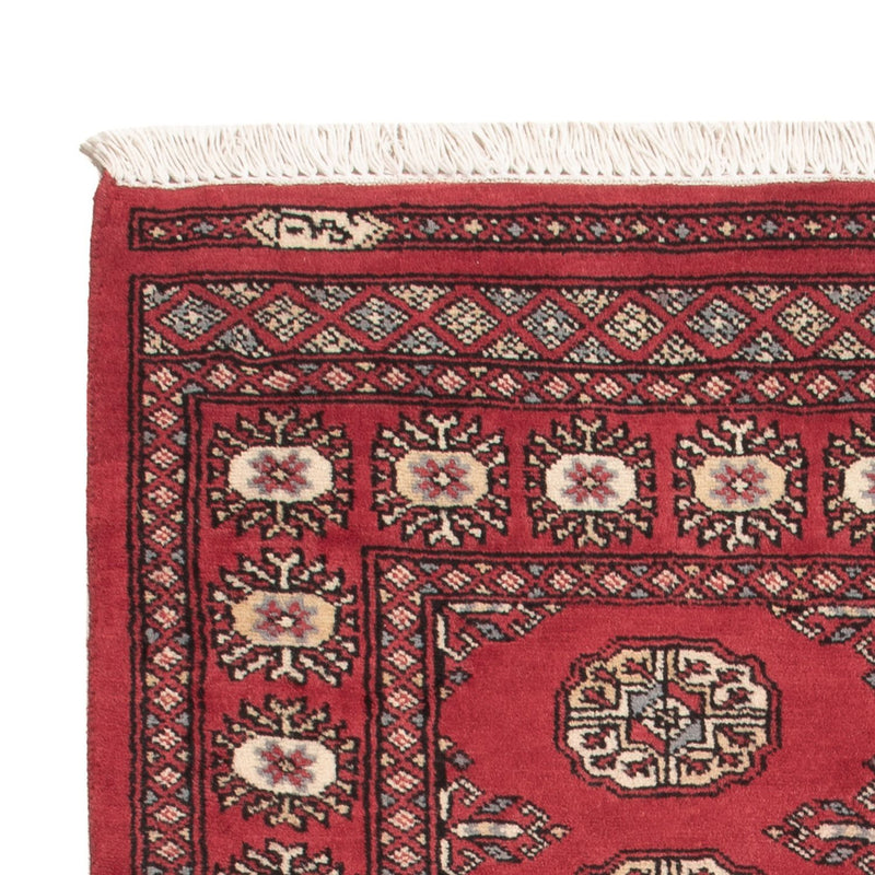 Pakistan teppe 147x91cm - Orientalsk teppe