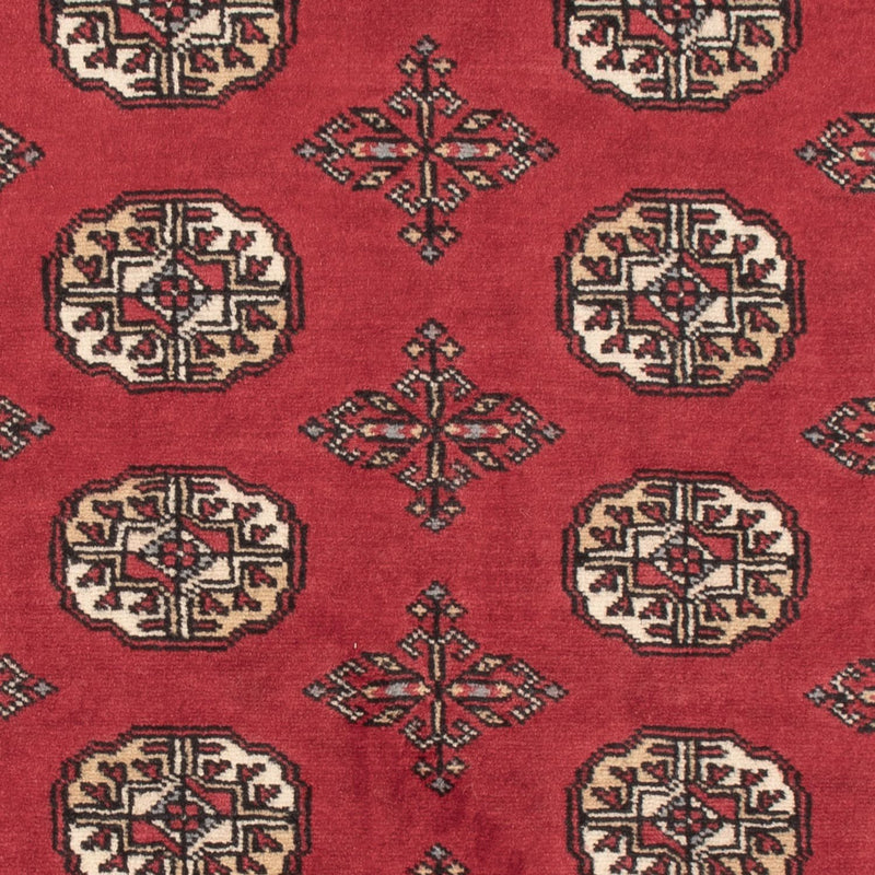 Pakistan teppe 154x95cm - Orientalsk teppe