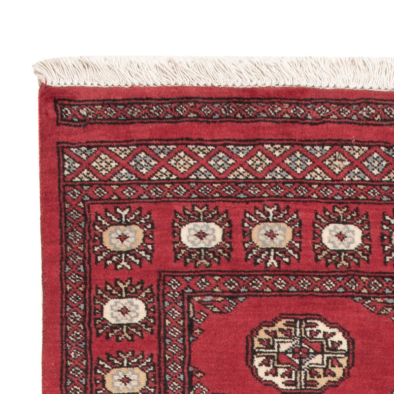 Pakistan teppe 154x95cm - Orientalsk teppe