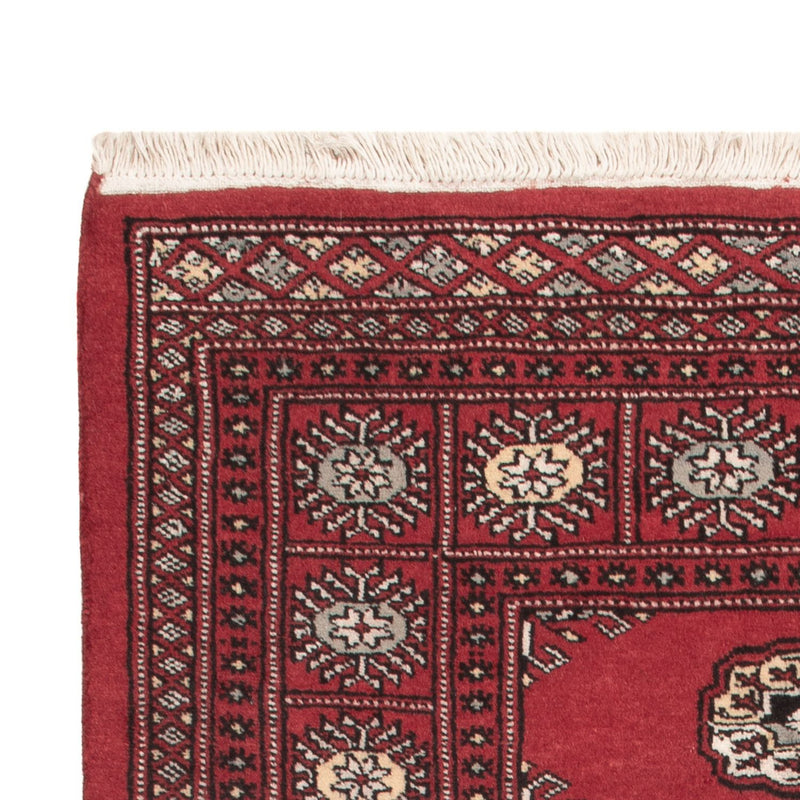 Pakistan teppe 163x94cm - Orientalsk teppe