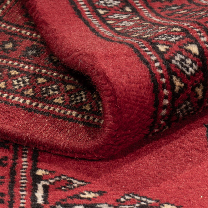 Pakistan teppe 163x94cm - Orientalsk teppe