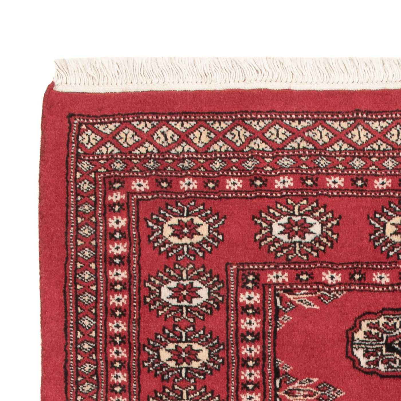 Pakistan teppe 150x90cm - Orientalsk teppe
