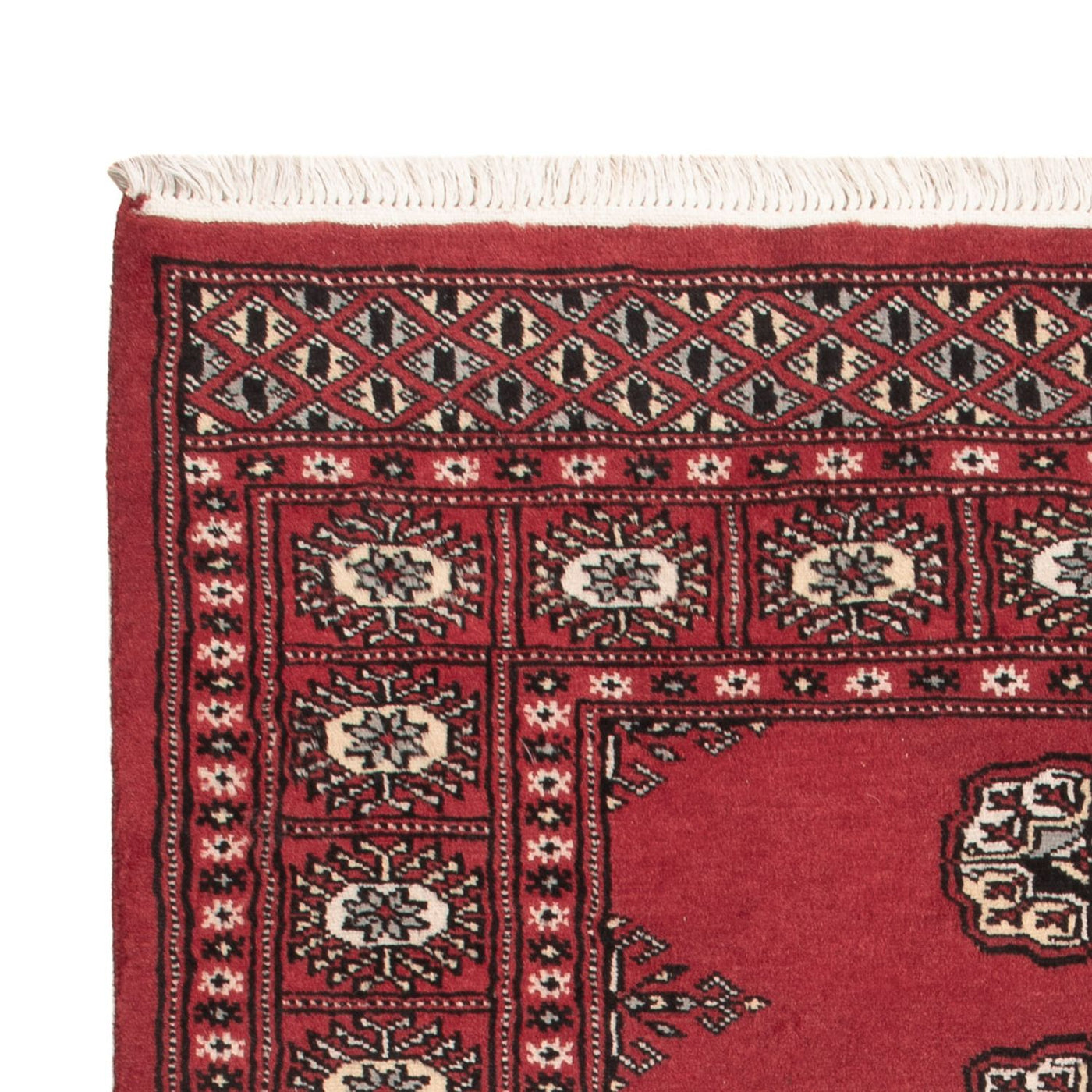 Pakistan teppe 152x97cm - Orientalsk teppe