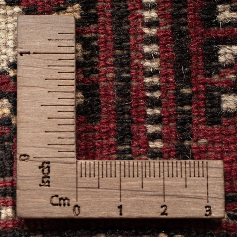 Pakistan teppe 152x97cm - Orientalsk teppe