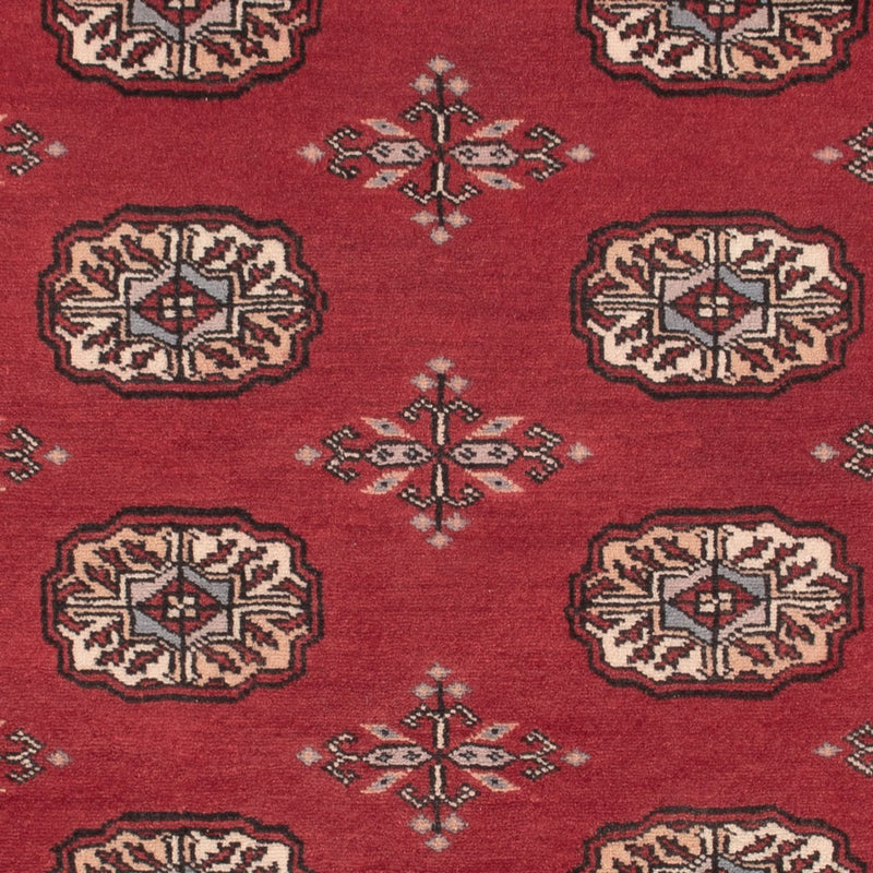Pakistan teppe 96x156cm - Orientalsk teppe