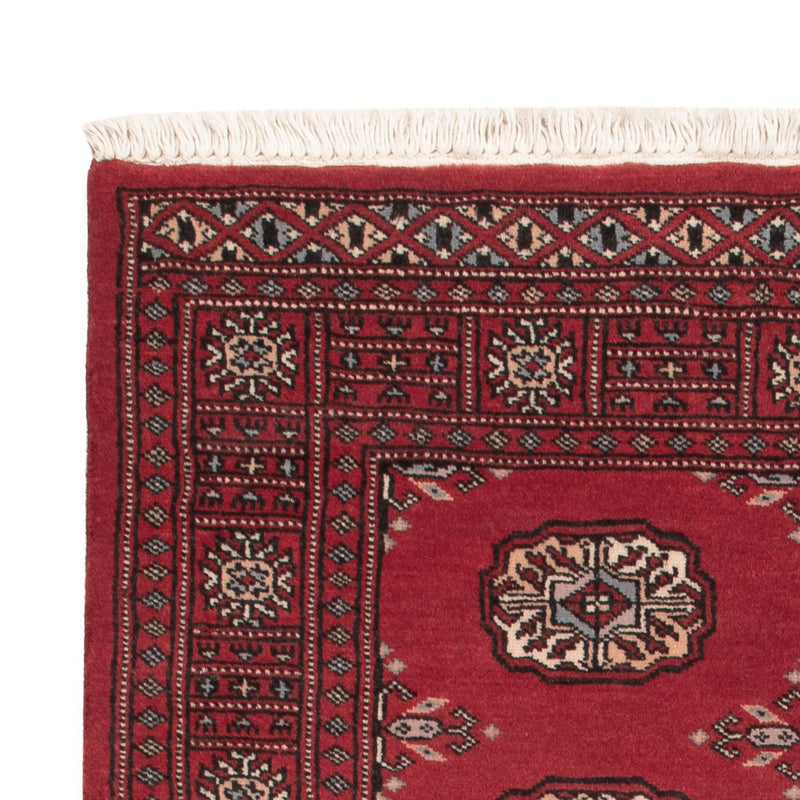 Pakistan teppe 96x156cm - Orientalsk teppe