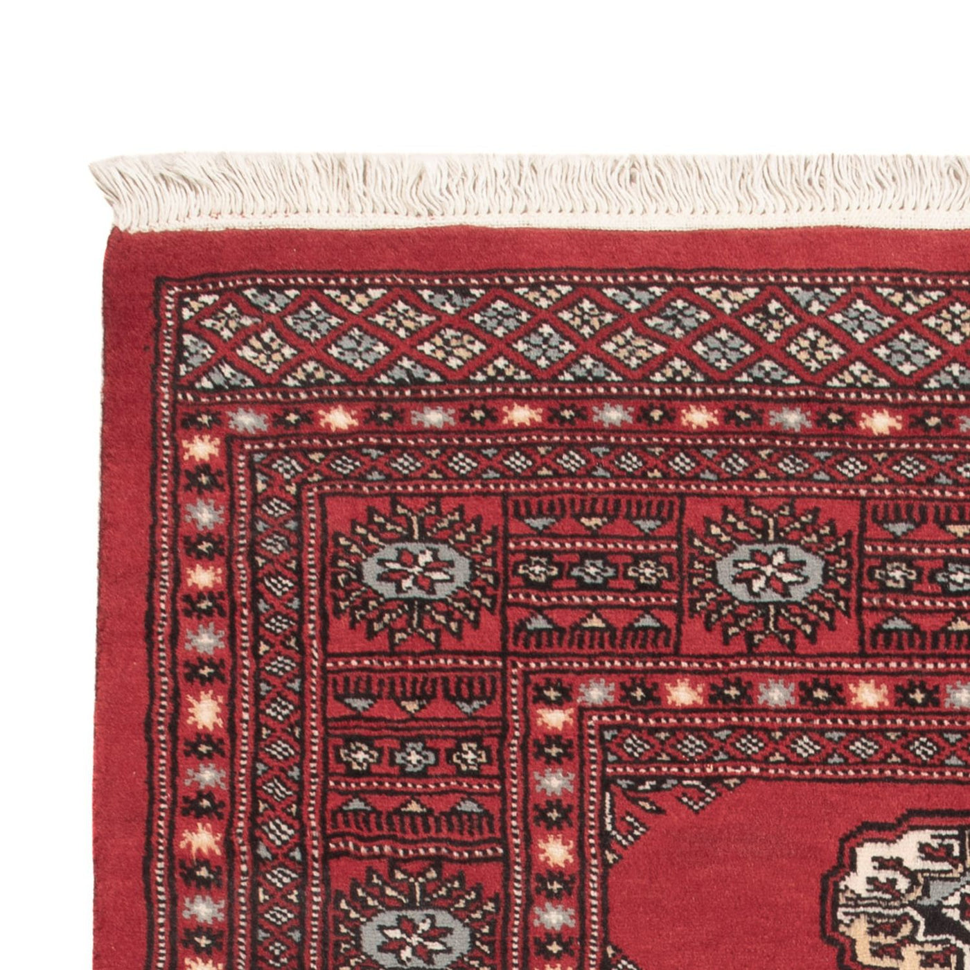 Pakistan teppe 144x93cm - Orientalsk teppe