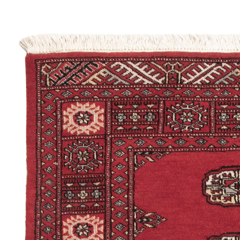 Pakistan teppe 151x92cm - Orientalsk teppe