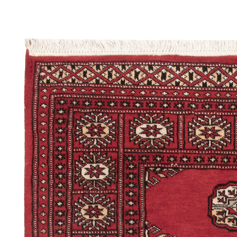 Pakistan teppe 146x90cm - Orientalsk teppe