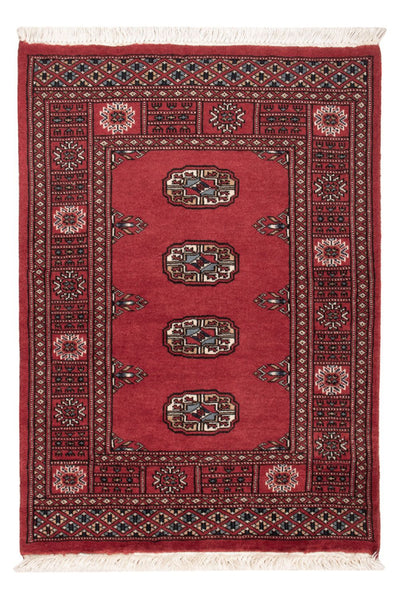 Pakistan teppe 75x103cm - Orientalsk teppe