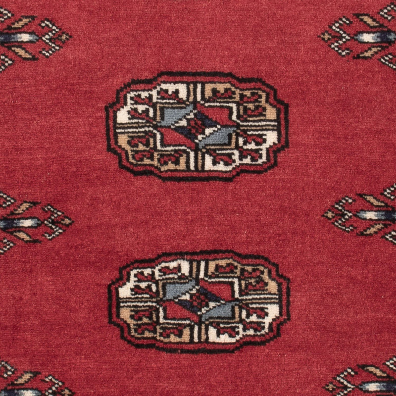 Pakistan teppe 103x75cm - Orientalsk teppe
