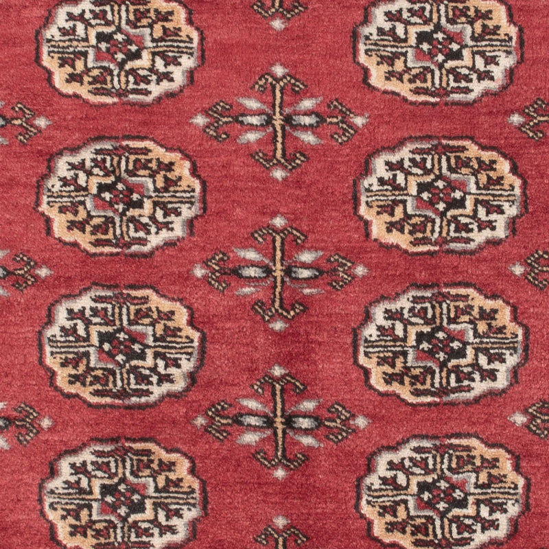 Pakistan teppe 147x96cm - Orientalsk teppe