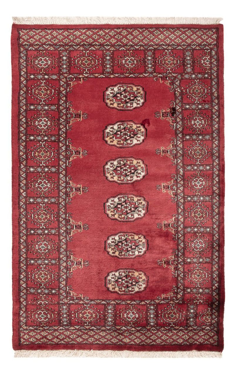 Pakistan teppe 145x94cm - Orientalsk teppe