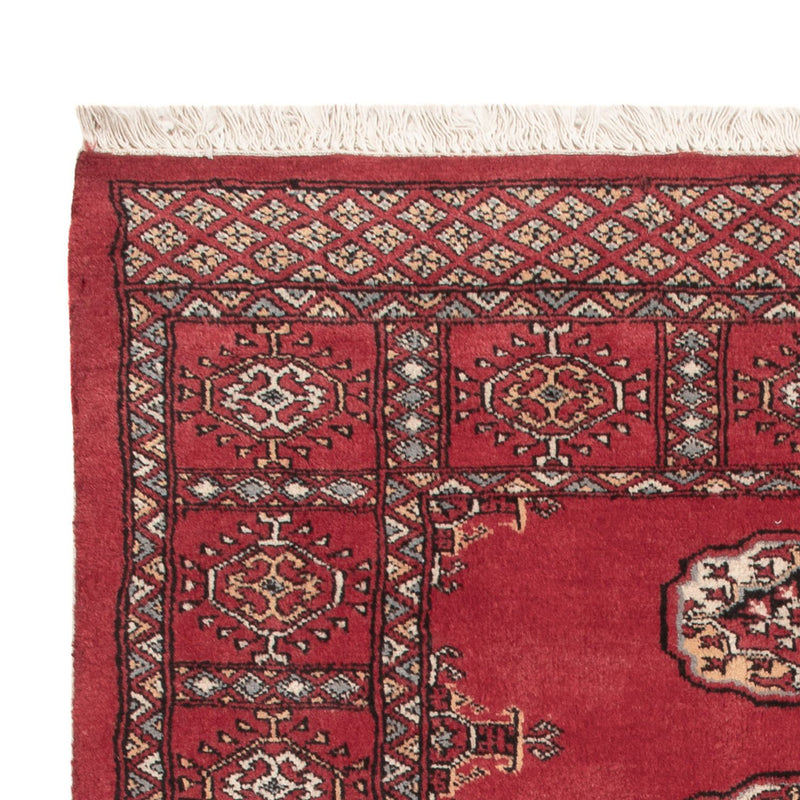 Pakistan teppe 145x94cm - Orientalsk teppe