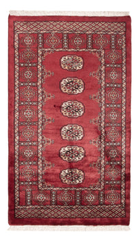 Pakistan teppe 146x89cm - Orientalsk teppe – product image