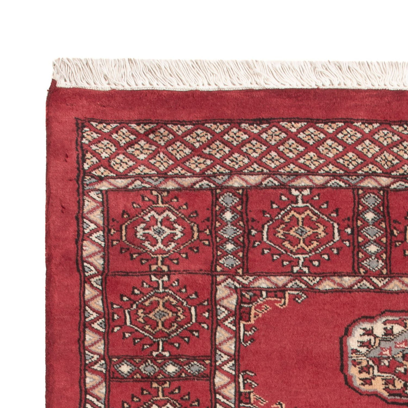 Pakistan teppe 146x89cm - Orientalsk teppe