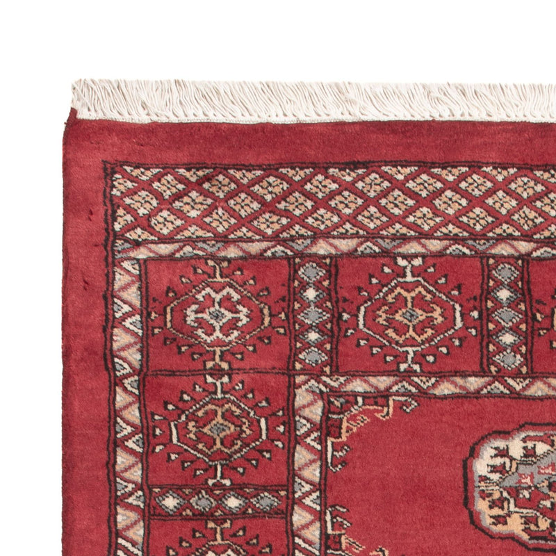 Pakistan teppe 146x89cm - Orientalsk teppe