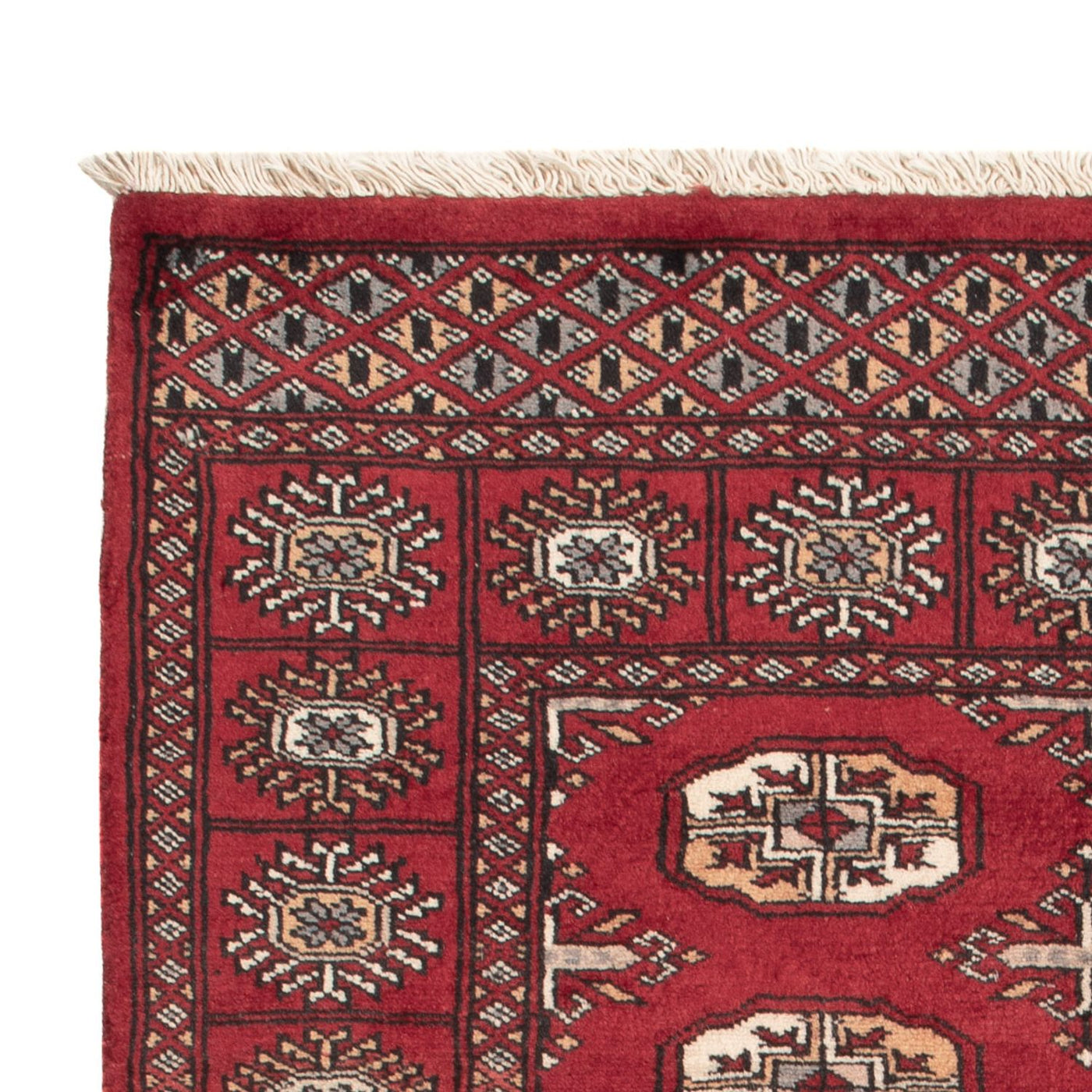 Pakistan teppe 144x91cm - Orientalsk teppe