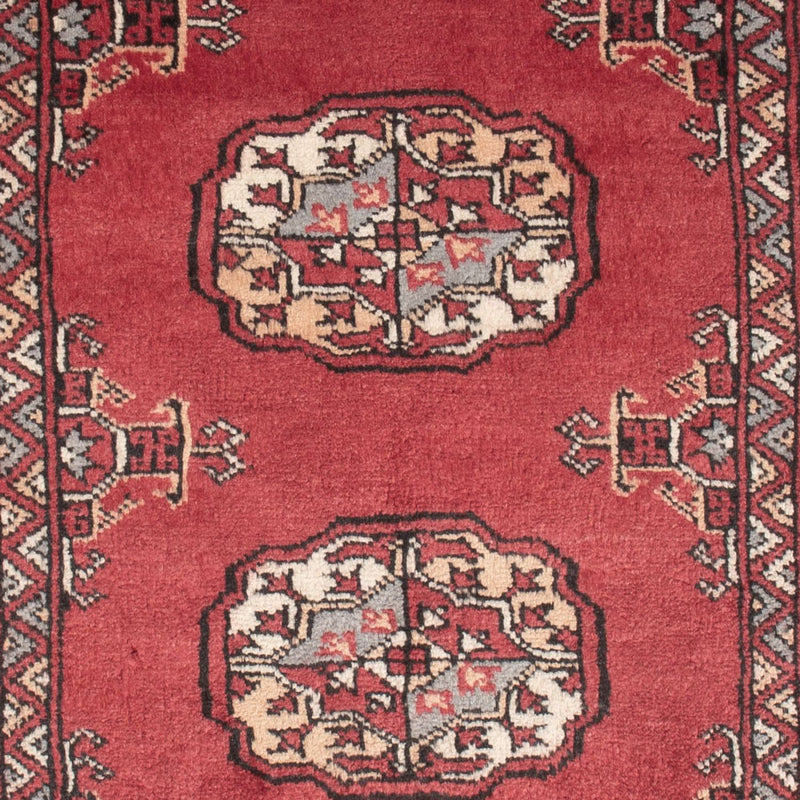 Pakistan teppe 78x124cm - Orientalsk teppe