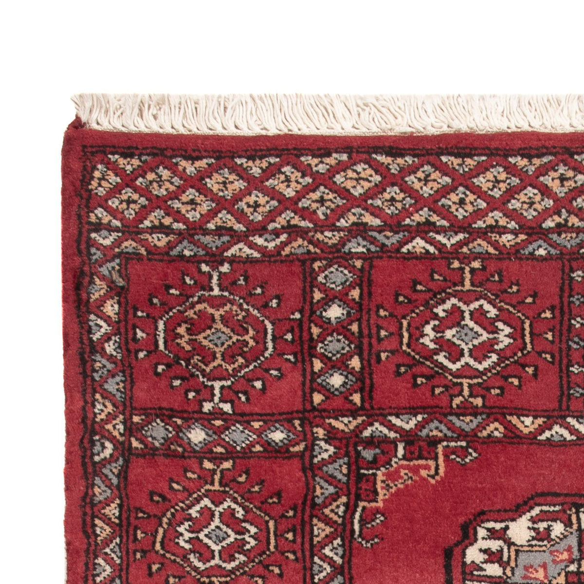 Pakistan teppe 78x124cm - Orientalsk teppe