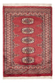 Pakistan teppe 114x79cm - Orientalsk teppe