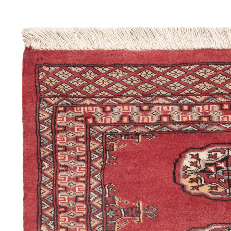 Pakistan teppe 114x79cm - Orientalsk teppe