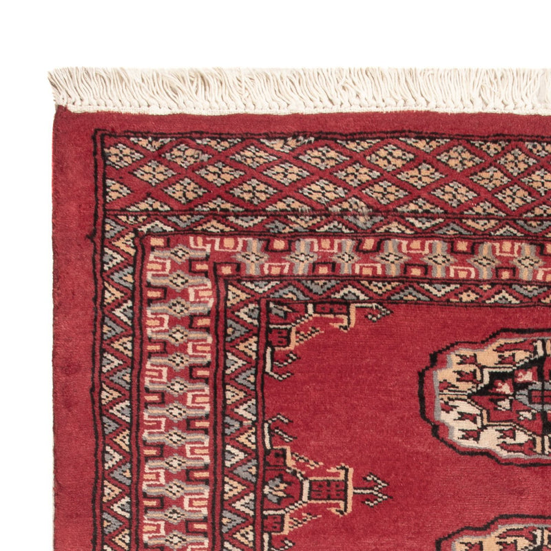 Pakistan teppe 117x80cm - Orientalsk teppe